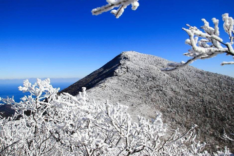 From Seoul: 5-Day Winter Tour with Nami Island & Skiing