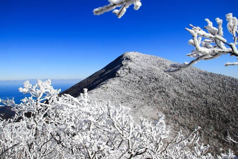 From Seoul: 5-Day Winter Tour with Nami Island & Skiing