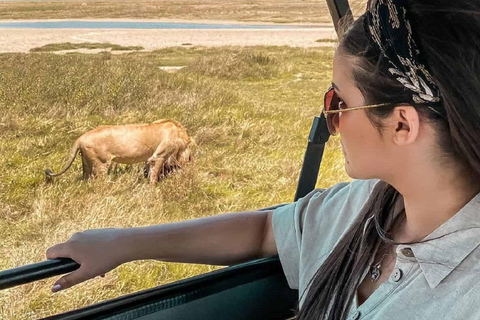 Arusha : safari de 4 jours sur la migration de Ndutu et le cratère du Ngorongoro...Arusha : 5 jours de safari de migration dans le Ndutu et le cratère du Ngorongoro ...