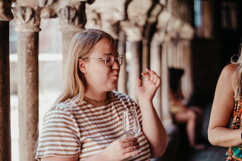 Albi: Tour gastronómico e pelo mercado com degustações e passeio histórico