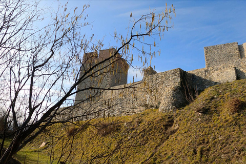 Zagreb: Easy Hike to Medvedgrad Fortress