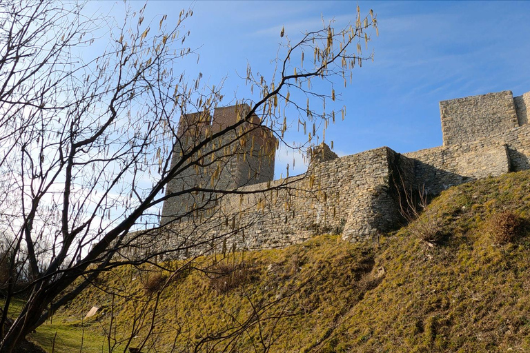 Zagreb: Easy Hike to Medvedgrad Fortress