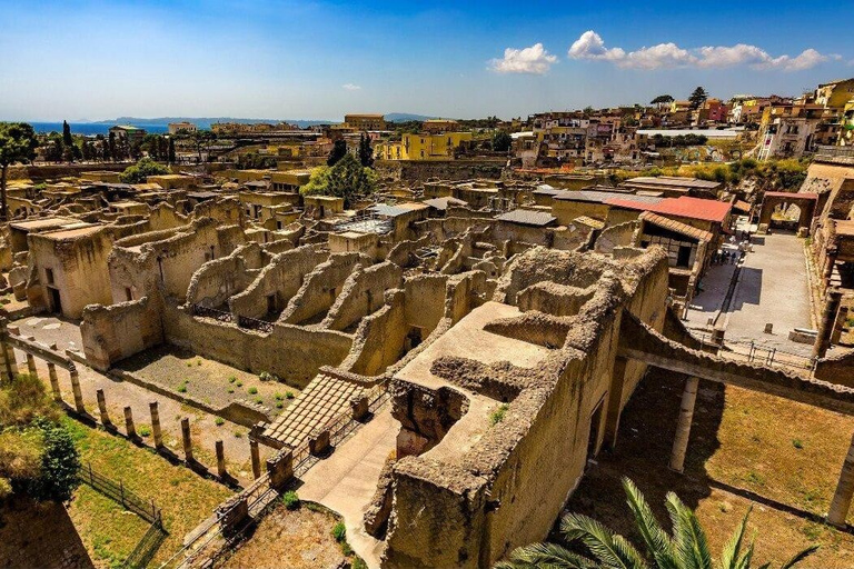 Herculaneum with an Archaelogical Guide & Ticket