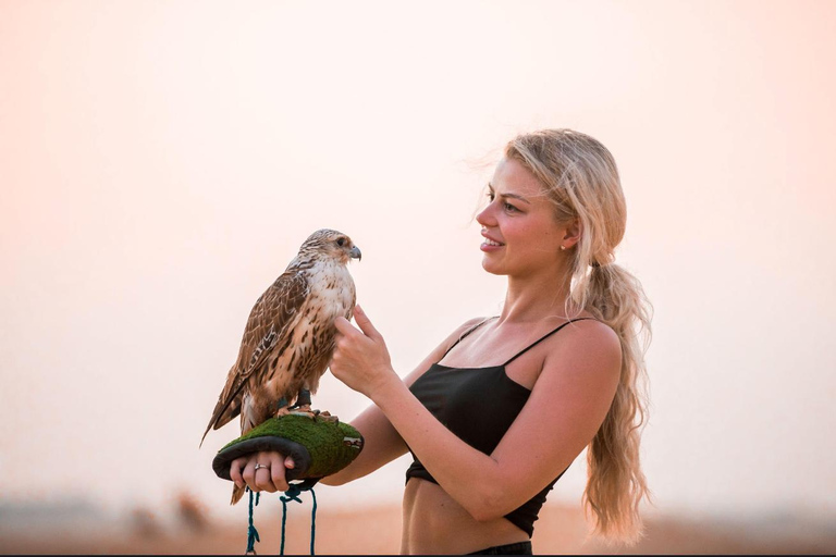 多哈：全地形车越野、沙漠/骆驼骑乘体验、滑沙和海景团体游（含酒店接送服务）