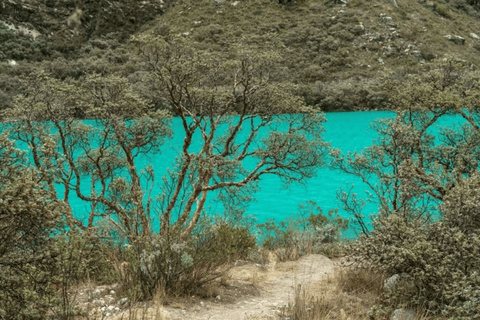 From Huaraz: Tour to Llanganuco Lake