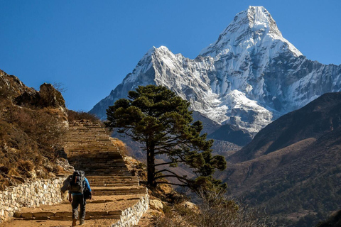 From Kathmandu : 5 Days Ghorepani Poonhill Guided TrekKathmandu : 5 Day Ghorepani Poonhill Trek