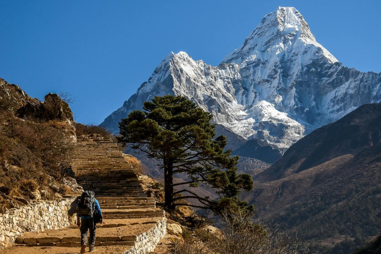 From Kathmandu : 5 Days Ghorepani Poonhill Guided TrekKathmandu : 5 Day Ghorepani Poonhill Trek