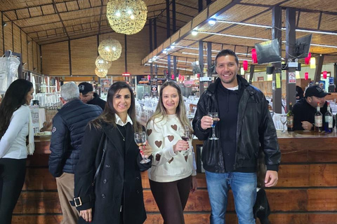 Santiago to Valparaiso Cruise Port: Private Transfer and Wine Tasting Santiago to Valparaiso Cruise Port: Private Transfer & Wine Tasting