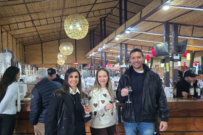 Santiago to Valparaiso Cruise Port: Private Transfer and Wine Tasting Santiago to Valparaiso Cruise Port: Private Transfer & Wine Tasting