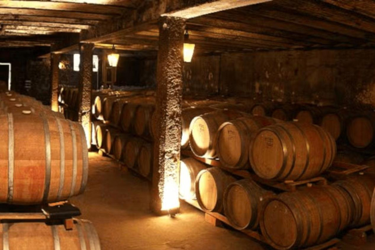 Montevideo: Bodegas Carrau Winery Tour with Tastings Tour With Grand Reserves Tasting