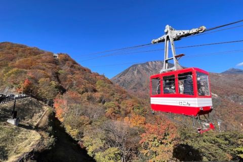Da Tokyo: tour di un'intera giornata a Nikko con prelievo dall'hotel in auto privata