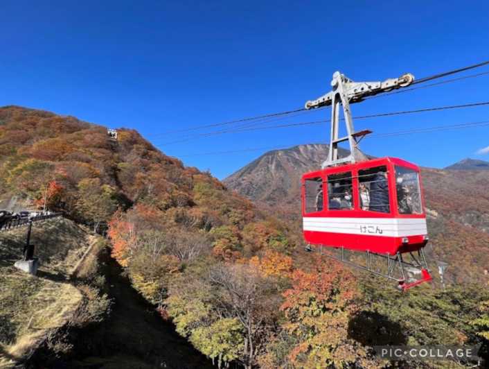 From Tokyo:Nikko Full Day Tour w/Hotel Pickup by Private Car