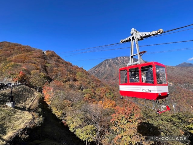 From Tokyo:Nikko Full Day Tour w/Hotel Pickup by Private Car