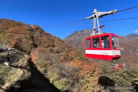 From Tokyo:Nikko Full Day Tour w/Hotel Pickup by Private Car