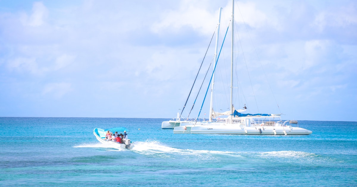 Saona Island Tour with Lunch and Pickup | GetYourGuide