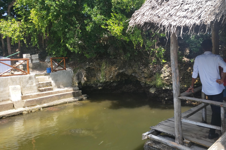 Zanzibar: Akwarium Nungwi Mnarani i rejs dau o zachodzie słońca