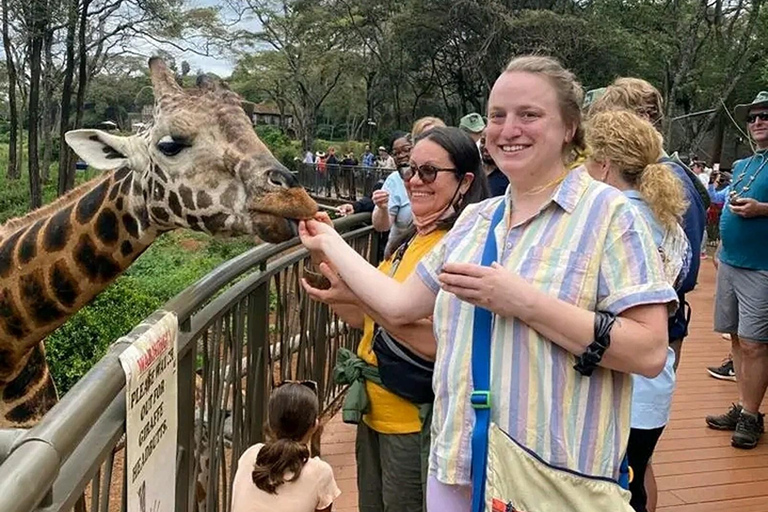 Sheldrick orphanage,Giraffes centre and Bomas Free Tour Sheldrick animal orphanage Tour.