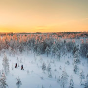 Kemi-Tornio: Nature tour with snowshoes