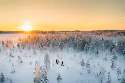 Kemi-Tornio: Natur Tour mit Schneeschuhen