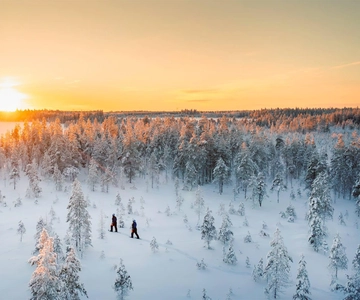 Kemi-Tornio: Wycieczka przyrodnicza na rakietach śnieżnych