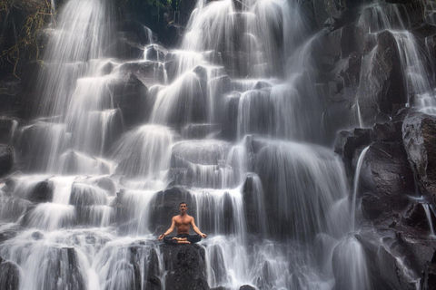 Ubud Tour: Explore os melhores lugares da área de Ubud.