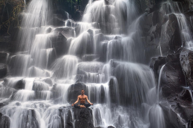 Ubud Tour: Explore os melhores lugares da área de Ubud.