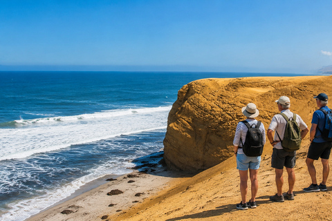 Paracas National Reserve Group Tour from Paracas