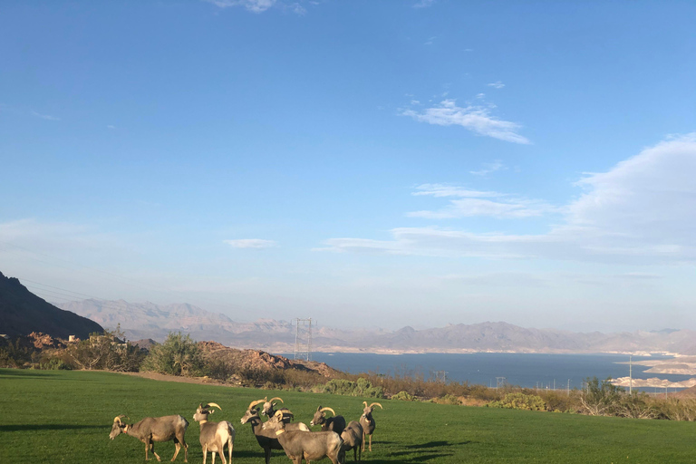 Las Vegas: Grand Canyon West &amp; Hoover Dam Day Trip