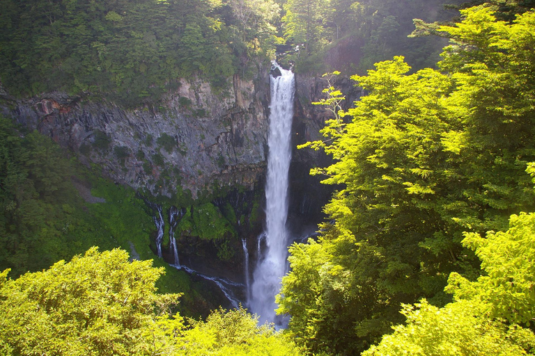 Da Tokyo: Escursione privata di una giornata intera a NikkoTour privato di un giorno di Nikko con visita panoramica di un giorno intero