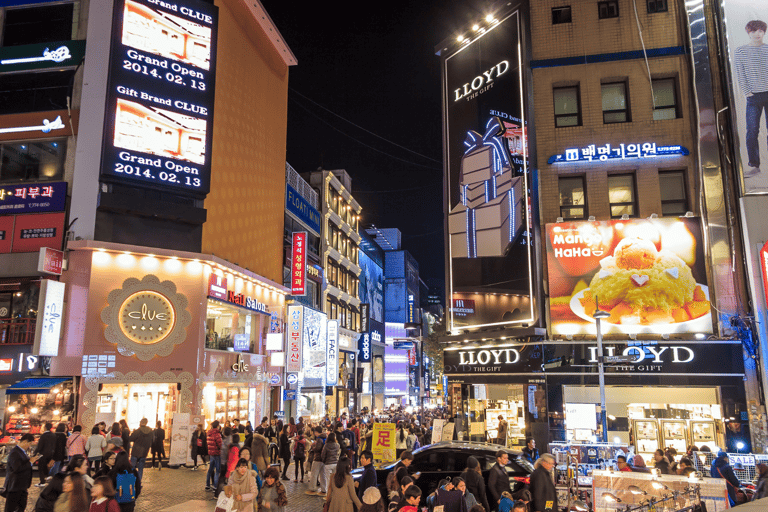 Per i passeggeri delle crociere al porto di Busan : Tour essenziale di Busan