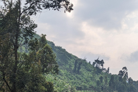 Kigali: Full-day cycling tour with picnic lunch