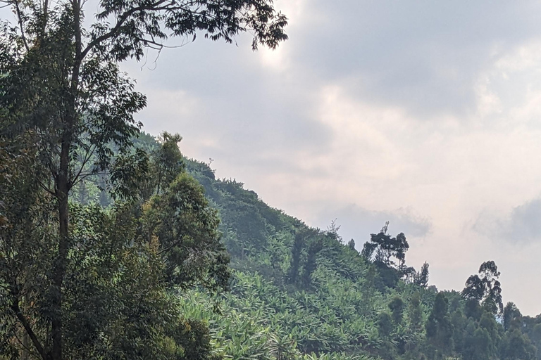 Kigali: Full-day cycling tour with picnic lunch