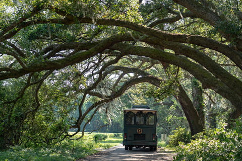 Wadmalaw Island Adventure Tour: wijn, thee en een boomVan Charleston: Wadmalaw Island Low Country Highlights Tour