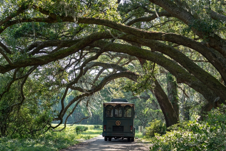 Wadmalaw Island Abenteuer Tour: Wein, Tee und ein BaumVon Charleston aus: Wadmalaw Island Low Country Highlights Tour