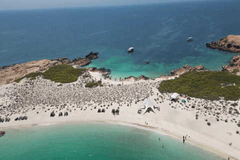 Daymaniat: Muscat Islands Boat Tour with Snorkeling & Brunch Daymaniat Islands Boat Tour with Snorkeling and Brunch