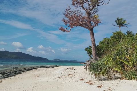 From El Nido: 3-Day Island-Hopping Expedition to Coron