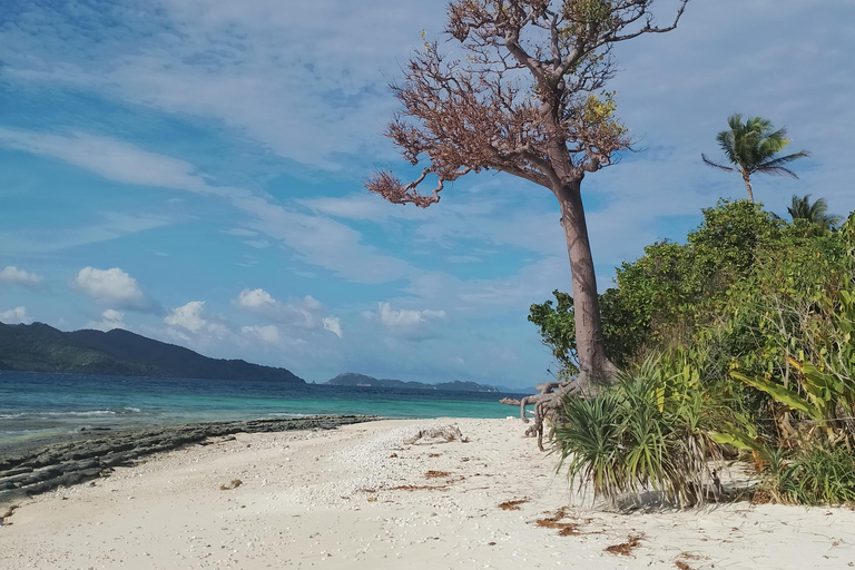 From El Nido: 3-Day Island-Hopping Expedition to Coron