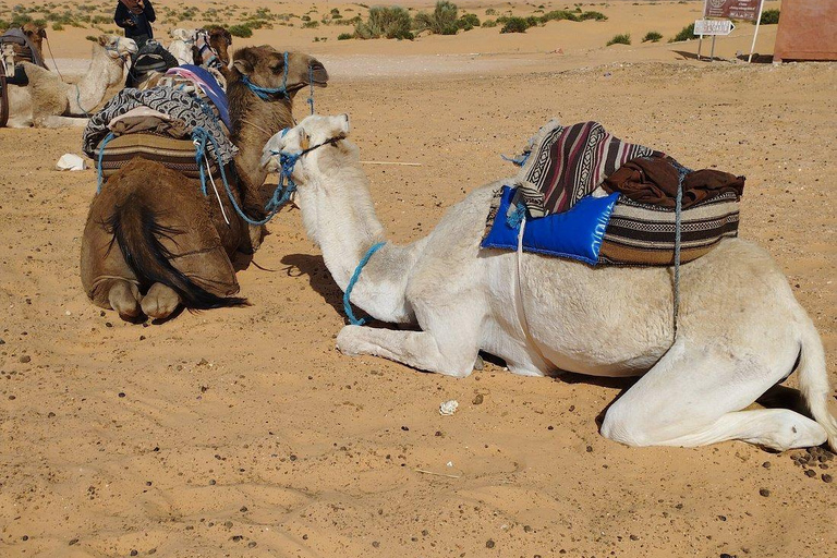 From Djerba/Zarzis: 2-Day Southern Tunisia Tour with Camp