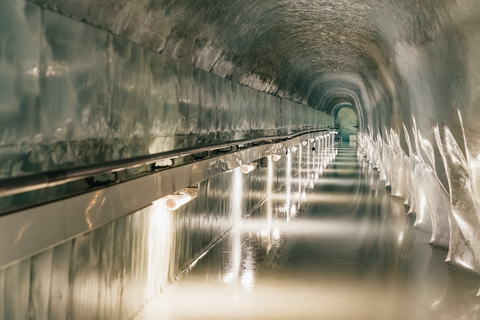 From Zurich: Guided Day Trip to Jungfraujoch with Train Ride