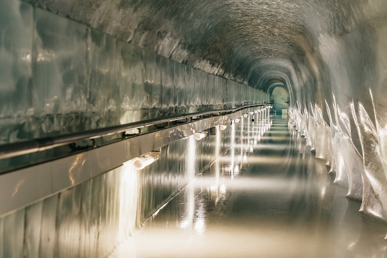 From Zurich: Guided Day Trip to Jungfraujoch with Train Ride