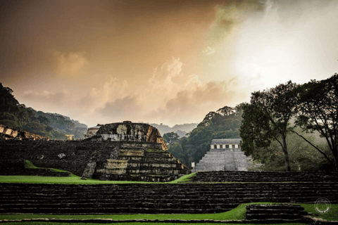 Palenque: Calakmul Tour: Mayan Ruins &amp; Wildlife Exploration