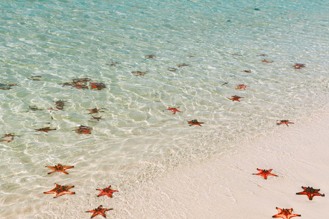 Phu Quoc: Authentic Northern Discovery with Local Boatmen Small Group Tour - Maximum 20 pax