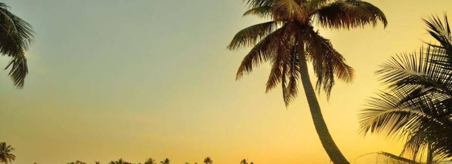 Aluva : croisière privée en péniche avec repas et transferts