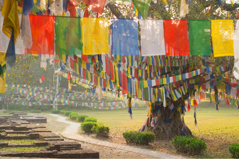 Pokhara to Lumbini: Spiritual & Cultural Escape