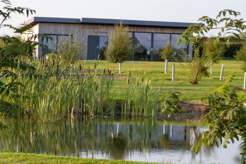 South Lanarkshire: Tea Tour with Tasting and Afternoon Tea