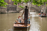 Cambridge, Guided Shared River Punting Tour - Housity