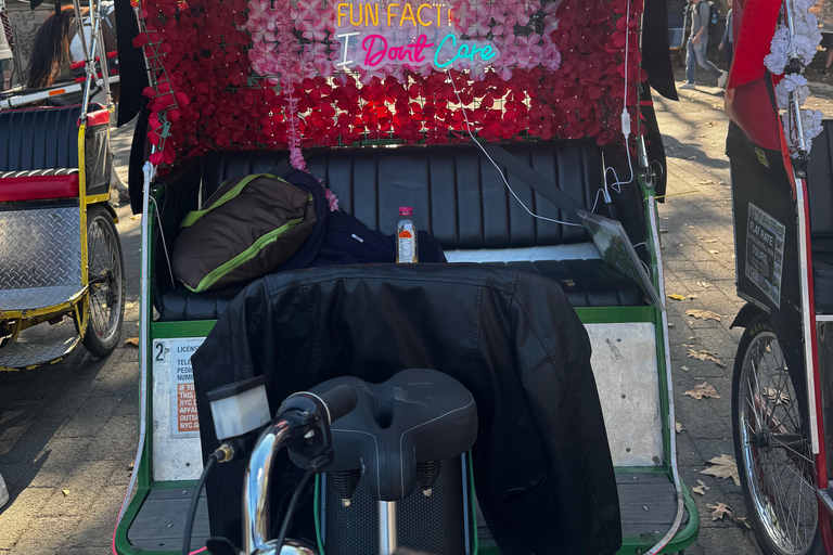 NYC: Magische stadslichten en stadsrondleiding door BroadwayNYC: Magische stadsverlichting en Broadway-stadsrondleiding per riksja