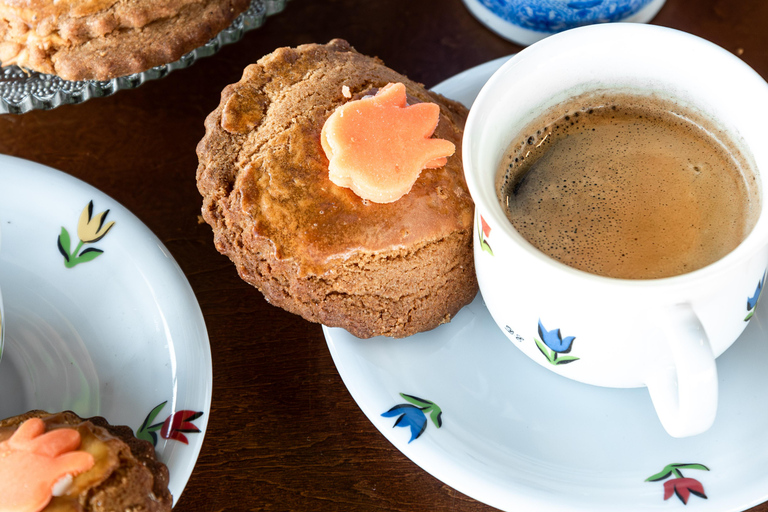 Tulip Experience and Tulip Fields Tour from Amsterdam