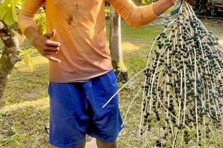 Belém: Guamá River Boat 3 Hours Tour with Optional Stops