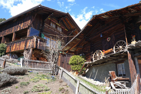 Lucerne: Lauterbrunnen & Mürren: Small Group Alpine Day Trip
